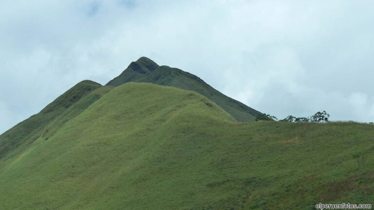 tingo maria 009